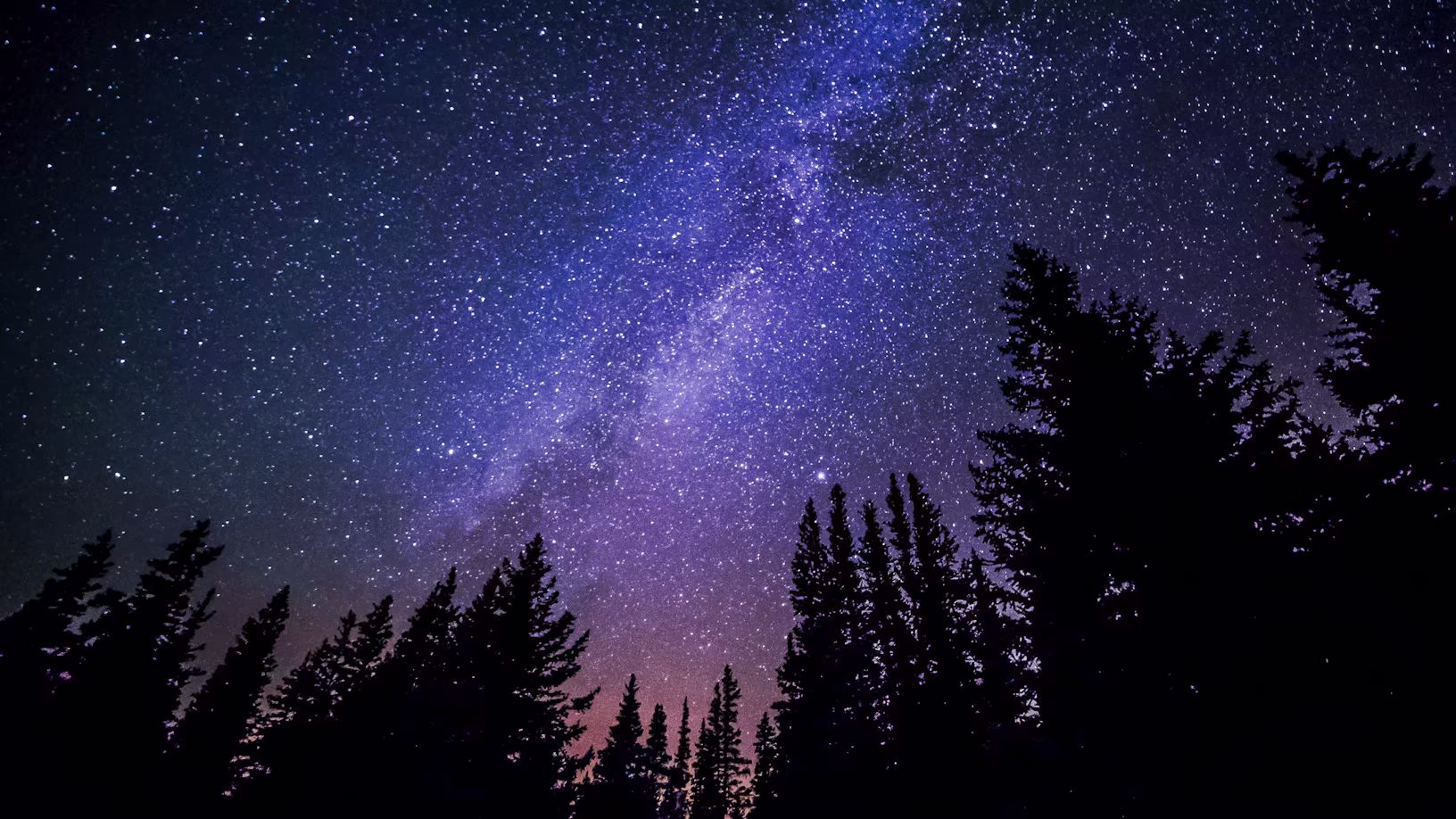 The Milky Way over a silhouetted tree line